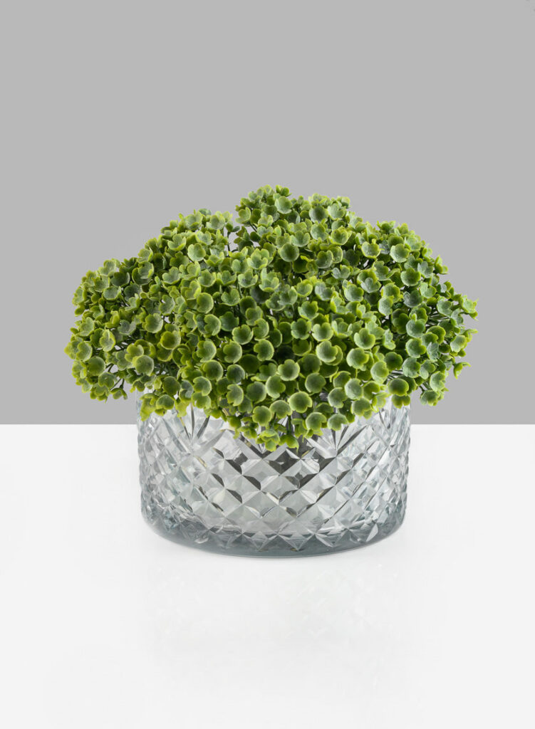 Diamond_Cut_Glass_Bowl_6in_Dia_lit_BG-12010_mag_view36220